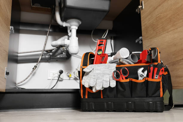 Best Affordable Plumbing Services  in Hazel Park, MI