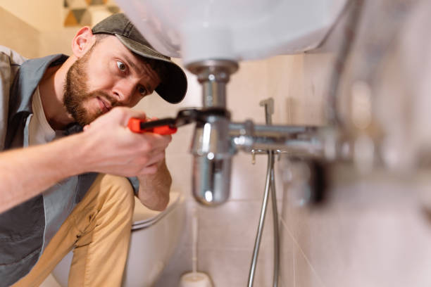 Best Septic Systems  in Hazel Park, MI