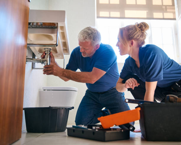 Best Emergency Plumbing Repair  in Hazel Park, MI